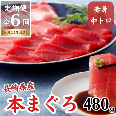 【2ヵ月毎定期便】長崎県産本まぐろ(中トロ・赤身)約480g全6回