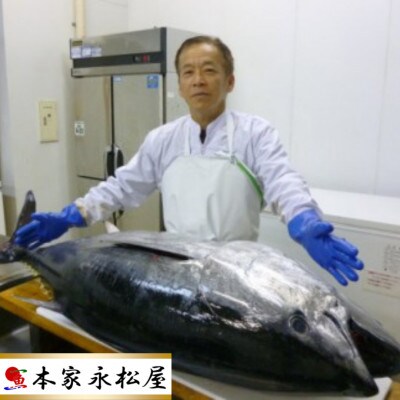 【2ヵ月毎定期便】長崎県産本まぐろ(中トロ・赤身)約480g全6回