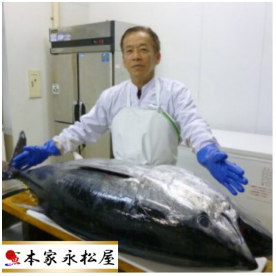 【毎月定期便】長崎県産本マグロ「赤身・中トロ・大トロ」三種セット(計600g以上)全6回
