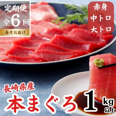 【毎月定期便】長崎県産本マグロ「赤身・中トロ・大トロ」贈答用セット(計約1,000g)全6回