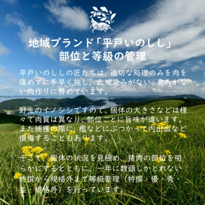 Newジビエ平戸いのししロース肉・肩ロース肉・モモ肉食べ比べセットしゃぶしゃぶ・すき焼き・ぼたん鍋用