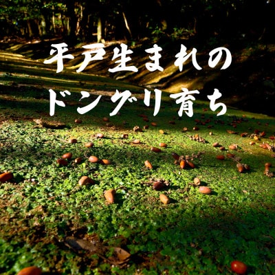 Newジビエ肉 平戸いのしし ロース肉優 猪肉2mmスライス  しゃぶしゃぶ・すき焼き・ぼたん鍋用
