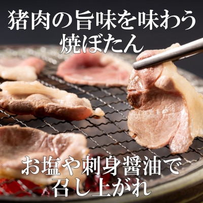 NEWジビエ「平戸いのしし」  焼肉・すき焼き・ぼたん鍋用猪肉 モモ肉 2mmスライス