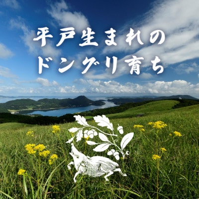 平戸いのししジビエカレー スパイシー欧風カレー中辛 200g×3食