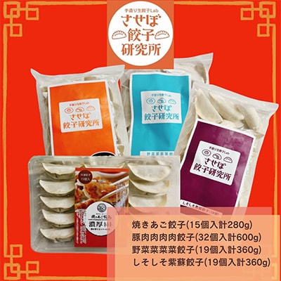 【発送月固定定期便】させぼ餃子研究所 させぼ餃子ヘルシーセット全4回