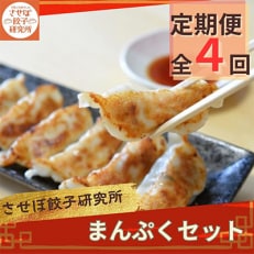 【発送月固定定期便】させぼ餃子研究所 させぼ餃子まんぷくセット全4回