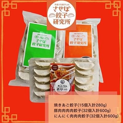 【発送月固定定期便】させぼ餃子研究所 させぼ餃子まんぷくセット全6回