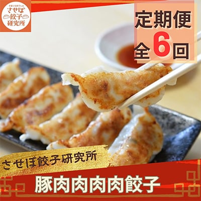 【発送月固定定期便】させぼ餃子研究所 豚肉肉肉肉餃子 計96個×全6回