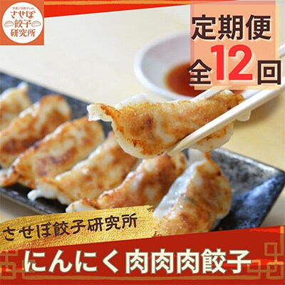 【毎月定期便】 させぼ餃子研究所 にんにく肉肉肉餃子 計96個×全12回