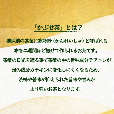世知原茶 青々しい薫りと旨みの上かぶせ