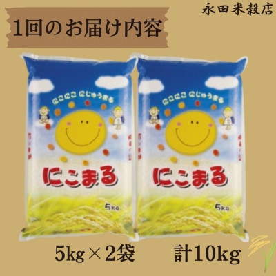 【毎月定期便】長崎県産米 にこまる5kg×2袋全6回
