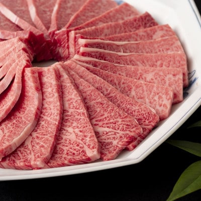 長崎和牛A4霜降り三角バラ焼肉用(500g)