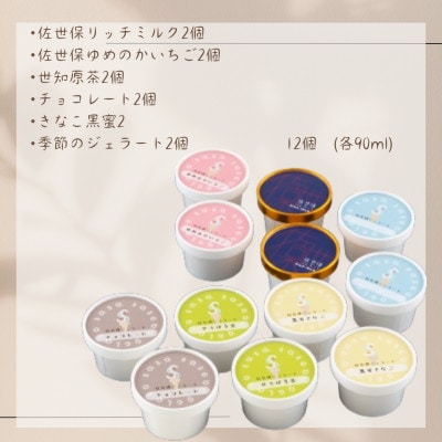 佐世保ジェラート SaSa 詰め合わせセット