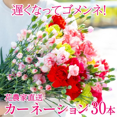 【遅くなってごめんね!2024年母の月】鮮度が自慢!農家直送  カーネーション 生花