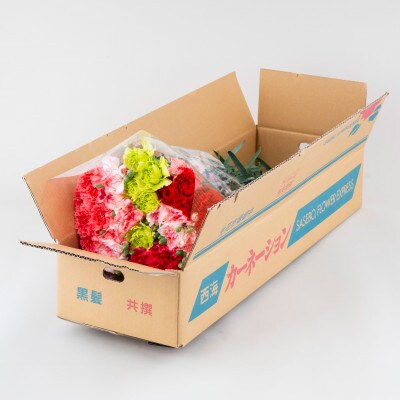 【遅くなってごめんね!2024年母の月】鮮度が自慢!農家直送  カーネーション 生花