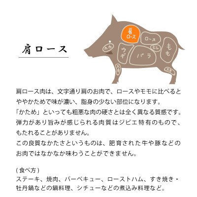 平戸いのしし 肩ロース ブロック 約1.3kg