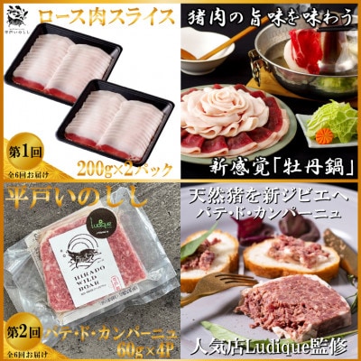 【毎月定期便】平戸いのしし肉(ロース モモ 肩ロース)と加工品(パテ ソーセージ ベーコン)全6回