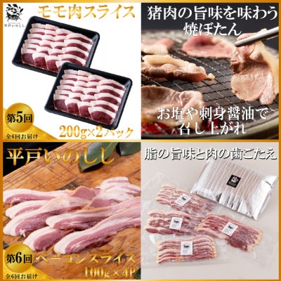 【毎月定期便】平戸いのしし肉(ロース モモ 肩ロース)と加工品(パテ ソーセージ ベーコン)全6回