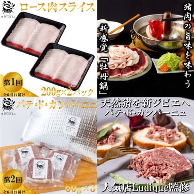 【毎月定期便】平戸いのしし肉(ロース モモ 肩ロース)加工品(パテ 粗挽ソーセージ ベーコン)全6回