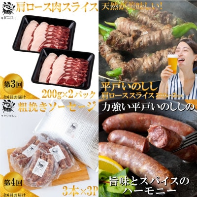 【毎月定期便】平戸いのしし肉(ロース モモ 肩ロース)加工品(パテ 粗挽ソーセージ ベーコン)全6回