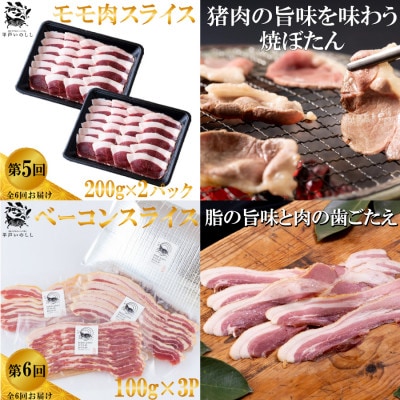 【毎月定期便】平戸いのしし肉(ロース モモ 肩ロース)加工品(パテ 粗挽ソーセージ ベーコン)全6回