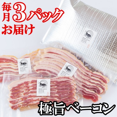 【毎月定期便】新感覚 平戸いのしし 極旨ベーコン スライス3セット全6回