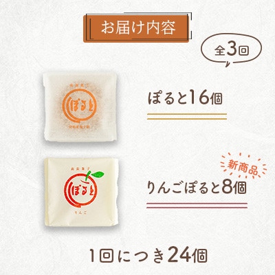 【毎月定期便】南蛮菓子「ぽると」16個と「りんごぽると」8個の2種詰め合わせ　計24個全3回