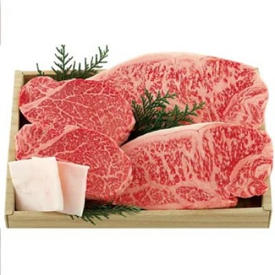 【毎月定期便】長崎和牛サーロイン2枚(各225g)・ヒレ肉ステーキ2枚(各130g)食べ比べ全3回