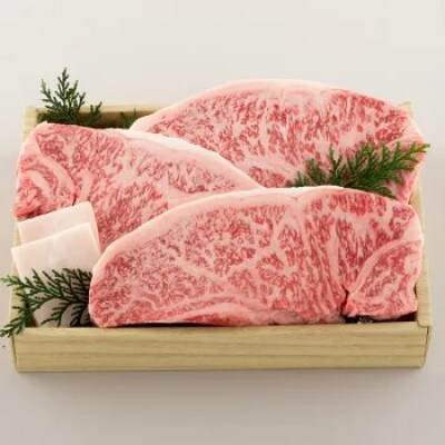 【毎月定期便】長崎和牛ロース肉ステーキ 3枚(各約225g)全3回