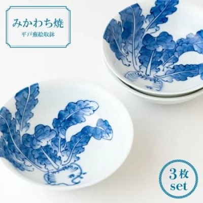 【平戸洸祥団右ヱ門窯】平戸蕪絵取鉢3枚揃　G177