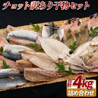 【かけはし水産】チョット訳あり干物セット A449