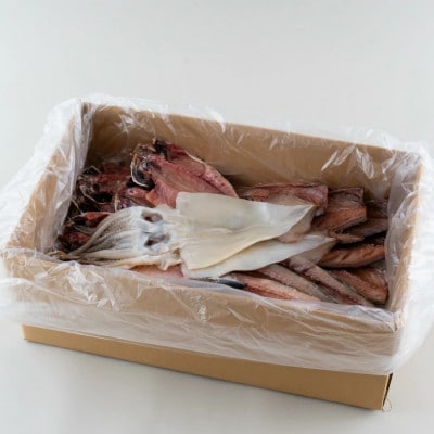【かけはし水産】長崎干物三昧セット 計約2kg A450