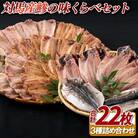 【かけはし水産】対馬産鯵の味くらべセット 計22枚 A473