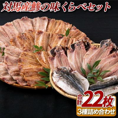【かけはし水産】対馬産鯵の味くらべセット 計22枚 A473