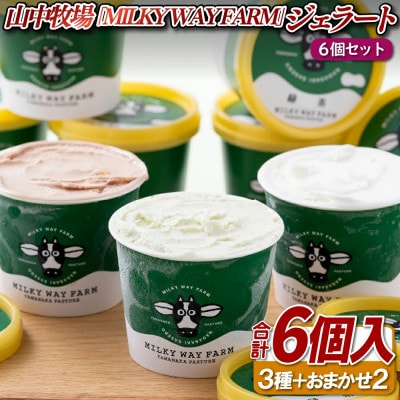 山中牧場「MILKY WAY FARM」ジェラート　6個　(各130ml)　F192