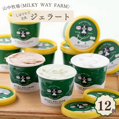 山中牧場「MILKY WAY FARM」ジェラート　12個　(各130ml)　F145a