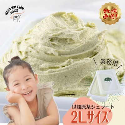 山中牧場「MILKY WAY FARM」ジェラート 業務用【2L】サイズ〈世知原茶〉F186
