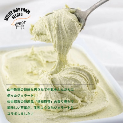 山中牧場「MILKY WAY FARM」ジェラート 業務用【2L】サイズ〈世知原茶〉F186