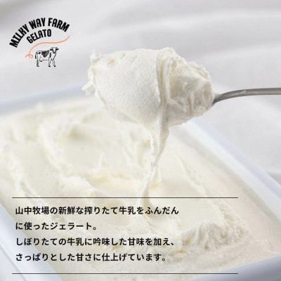 山中牧場「MILKY WAY FARM」ジェラート 業務用【2L】サイズ〈牛乳〉F182