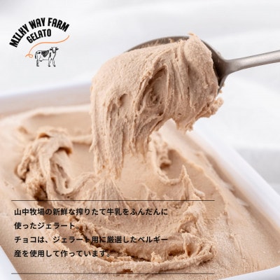 山中牧場「MILKY WAY FARM」ジェラート 業務用【2L】サイズ〈チョコレート〉F184