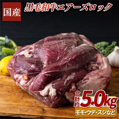 【BigMan】国産黒毛和牛エアーズロック(約5kg)
