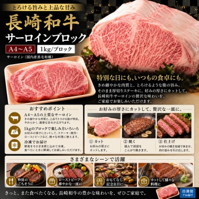 【厳選部位】【A4～A5】長崎和牛サーロインブロック　約1kg(佐世保市)