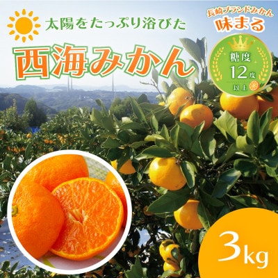 【早期受付】西海みかん「味まる」(3kg)
