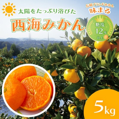【早期受付】西海みかん「味まる」(5kg)