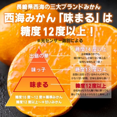 【早期受付】西海みかん「味まる」(5kg)
