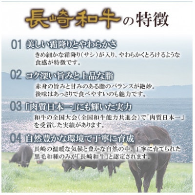 長崎和牛 もも焼肉用 約500g(佐世保市)