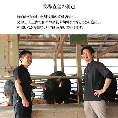 長崎和牛 おがわ牛 A5ランクのみ特選ロース極厚焼肉(自家製焼肉のタレ付き)(佐世保市)