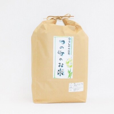 2021年10月発送開始『定期便』津野町米 10kg(5kg×2) 全12回