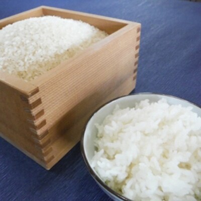 2021年10月発送開始『定期便』津野町米 10kg(5kg×2) 全12回