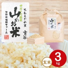大わらじの里　宮谷　山のお米　玄米【3kg】